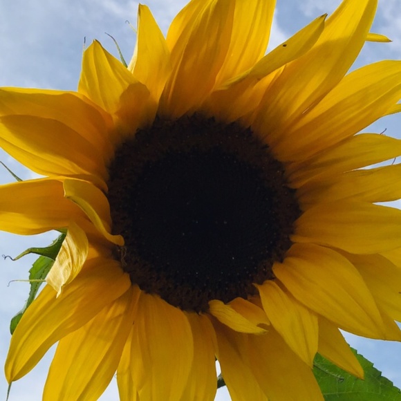 Meet your Posher, Cathy - Picture 2 of 4